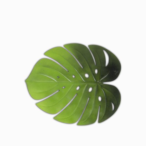 Individual hoja monstera