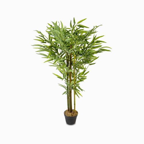 Planta bambú 130cm