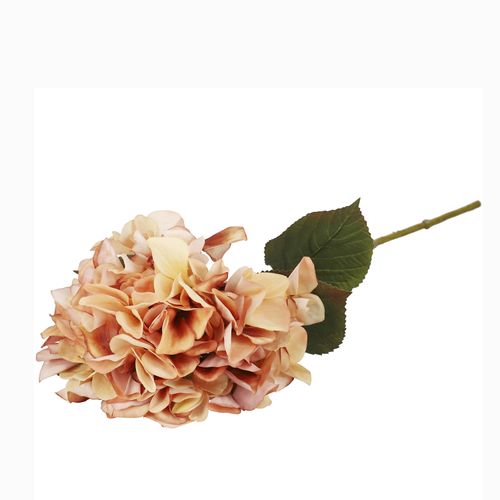 Hortensia durazno 67cm