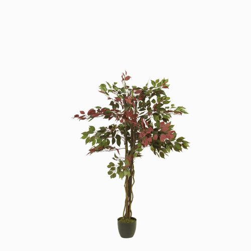 Árbol Ficus 150 cm