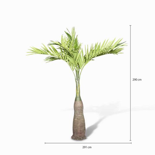 Palmera Amarilla 290 cm