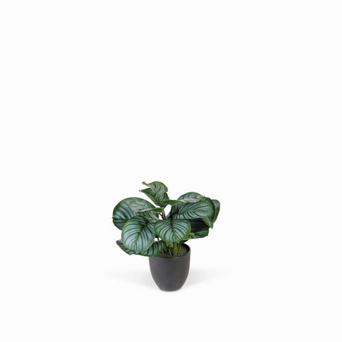 Planta Arruz Artificial
