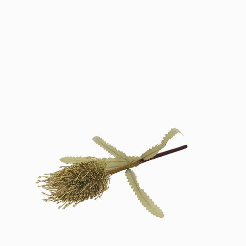 Flor de Tallo Verde