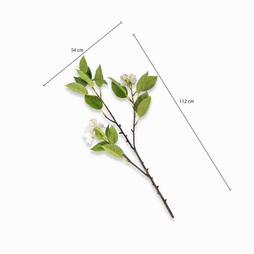 Flor de cerezo blanca