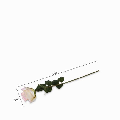 Rosa bordes rosados
