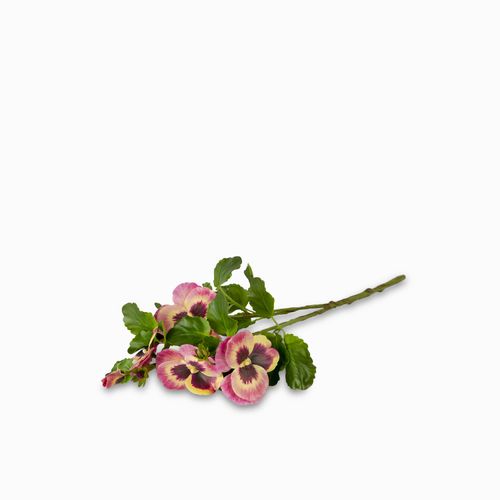 Flor Viola rosada 46cm