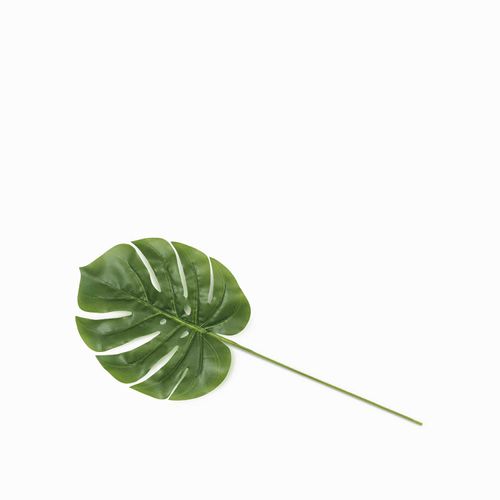 Mini hoja monstera