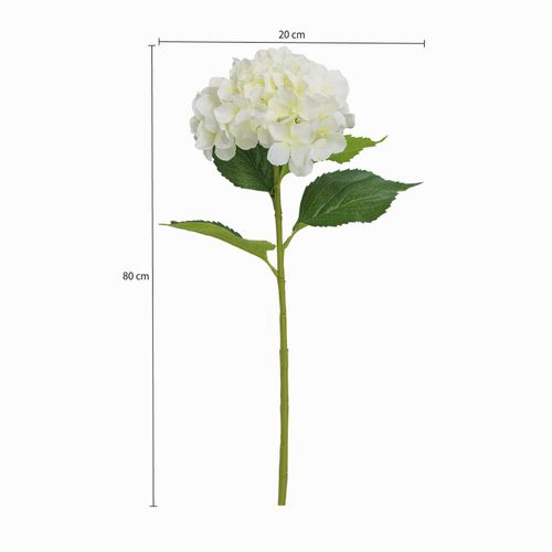 Hortensia blanca