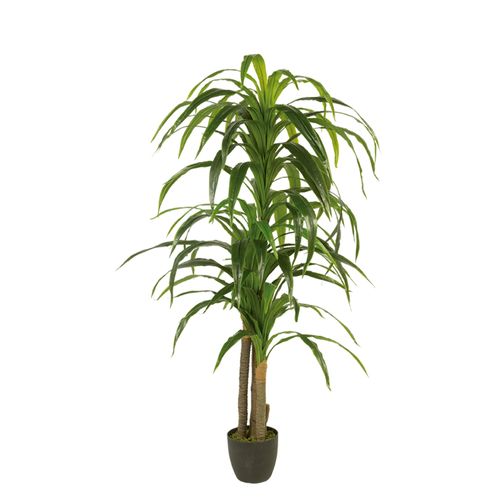 Yuca Artificial 180 cm