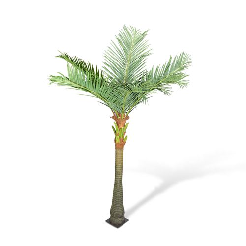 Palmera de Coco 300 cm