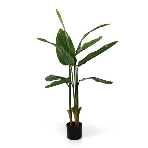 Planta Paraíso 110 cm