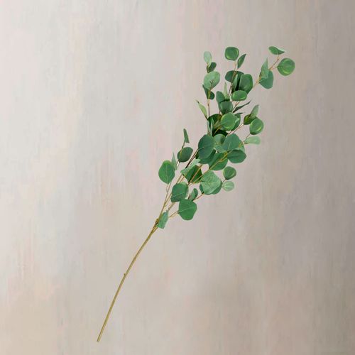 Hoja Eucalipto 110cm