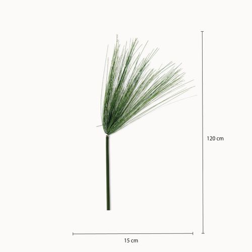 Papiro 120 cm