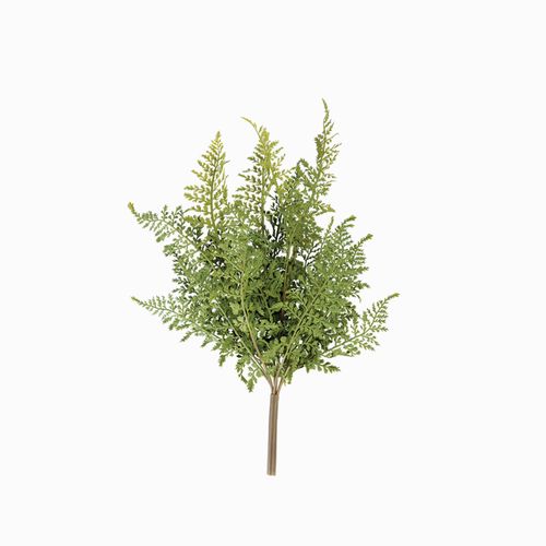 Rama Helecho 55 cm