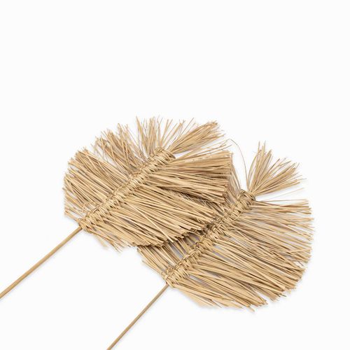 Hoja Seloana Pequeña