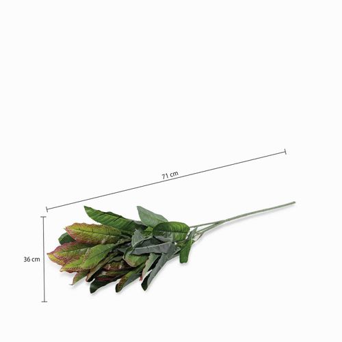 Hoja Mirto
