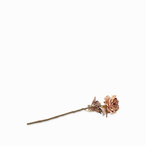 Peonia crema 62cm