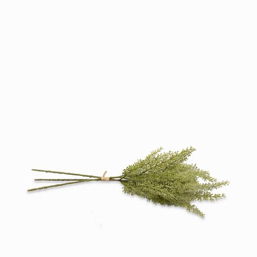 Flor de Astibile verde