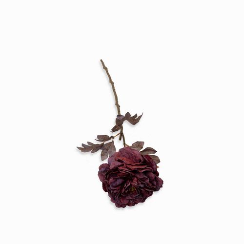 Peonia borgoña 62cm