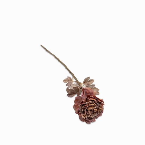 Peonia café 62cm