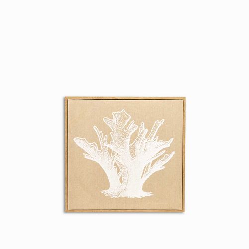 Cuadro marino coral Elisela 42x42