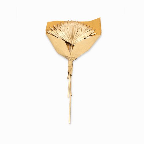 Hoja de palma dorada