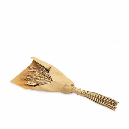 Racimo de trigo dorado