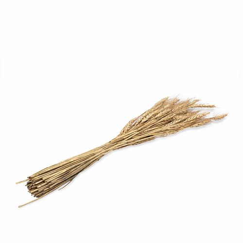 Racimo de trigo dorado