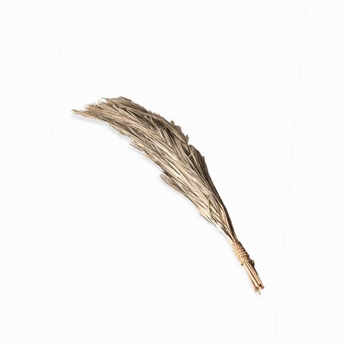 Racimo Khejur blanquiado