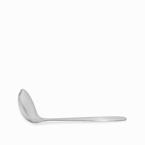 Servidor cucharon plateado