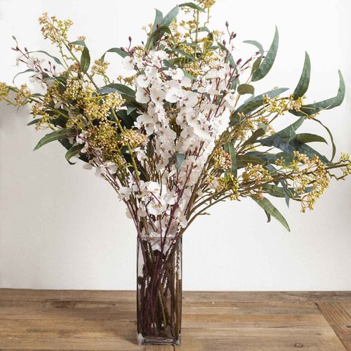 Orquídea Danzante Blanca