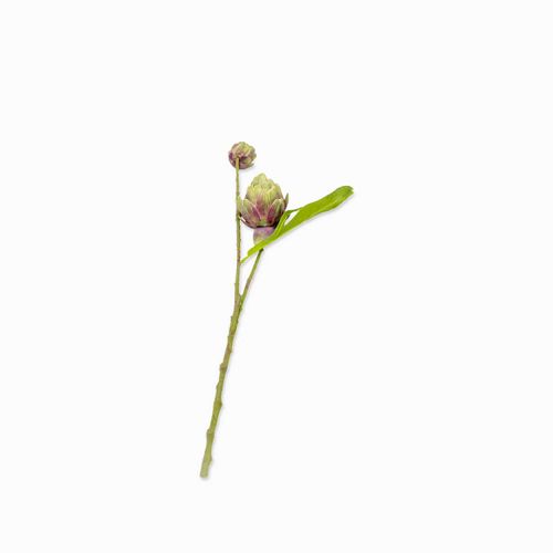 Flor de Piña 58 cm