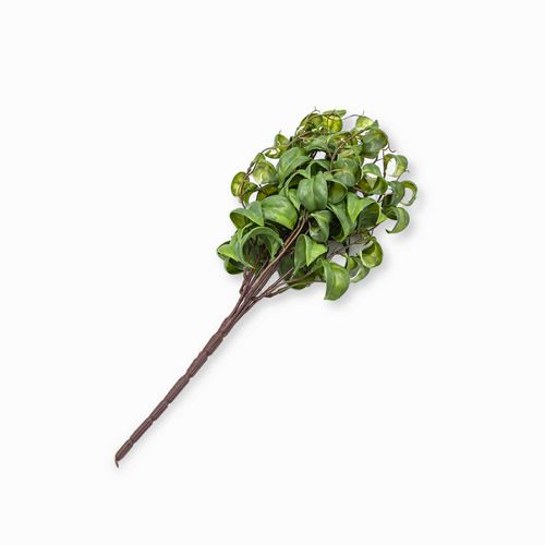 Rama peperomia 37cm
