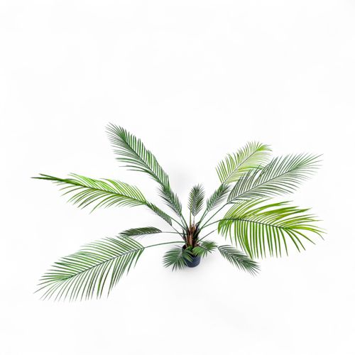 Árbol palma 118cm