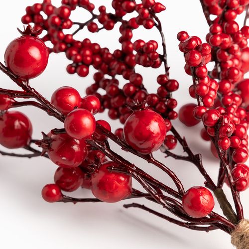 Rama colgante berries