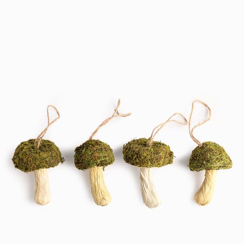 Set de hongos verdes x4